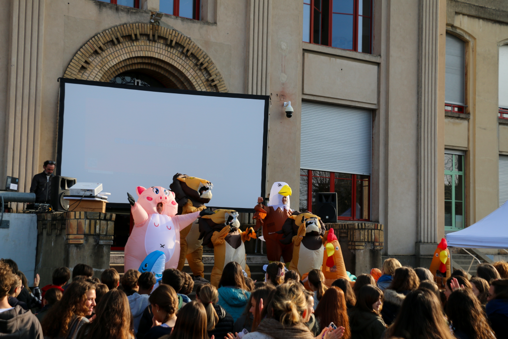 groupes de mascottes qui dansent